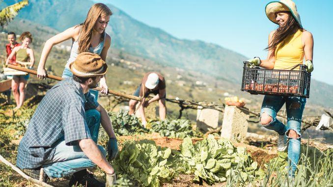 Innovación social: una herramienta imprescindible para las zonas rurales marginadas