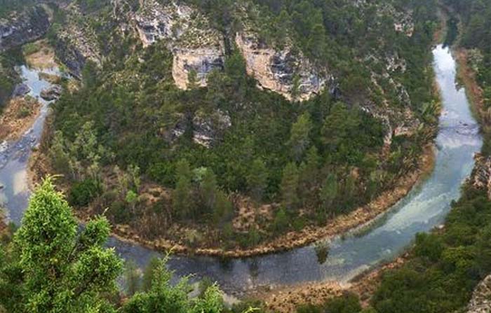 Castilla-La Mancha va a modificar su Ley de Gestión Forestal Sostenible para adecuarla a las políticas contra la despoblación